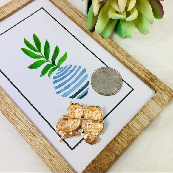 Only ships with $15 orders. Owl Lovers Brooch - Picture 4 of 5